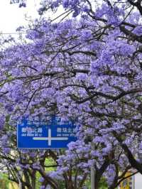 Kunming China 