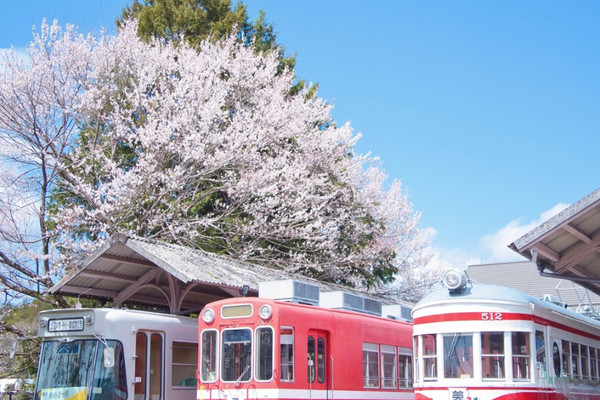 岐阜】行かなきゃ損‼️レトロ駅舎と桜のコラボ🌸旧駅舎でタイム
