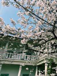 大阪水岸藝術之旅｜舊櫻宮公會堂×櫻之宮公園🌸🏛️