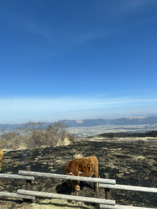 地球の神秘を感じる阿蘇山へ