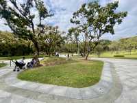 深圳清新自然美地✨四海公園 🌸🌿