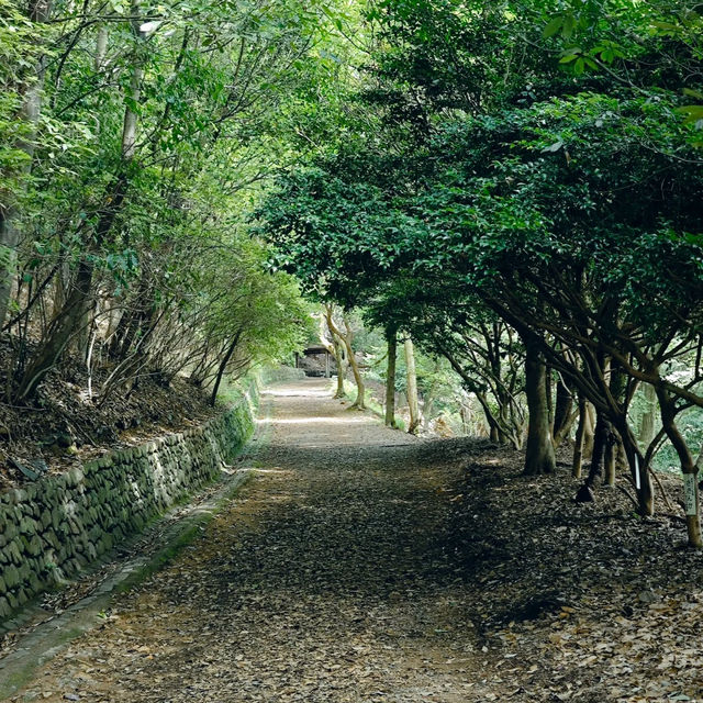 米之山展望台·壯麗景色