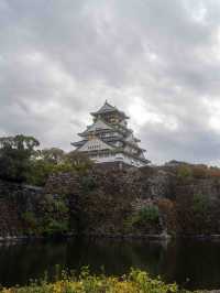 大阪城公園 🏯🌸 四季折々の美しさと歴史を感じるスポット