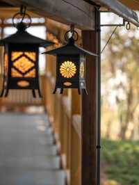 川越スナップ 📸🏮レトロな街並みを歩く