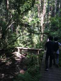 【鎌倉アルプス:北鎌倉・山之内・今泉の秘境から二階堂まで。散在ヶ池公園・陰陽滝・天園ハイキングコース 】