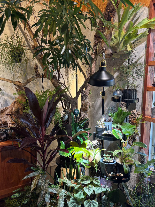 【福岡カフェ】ボタニカルな癒しのカフェ