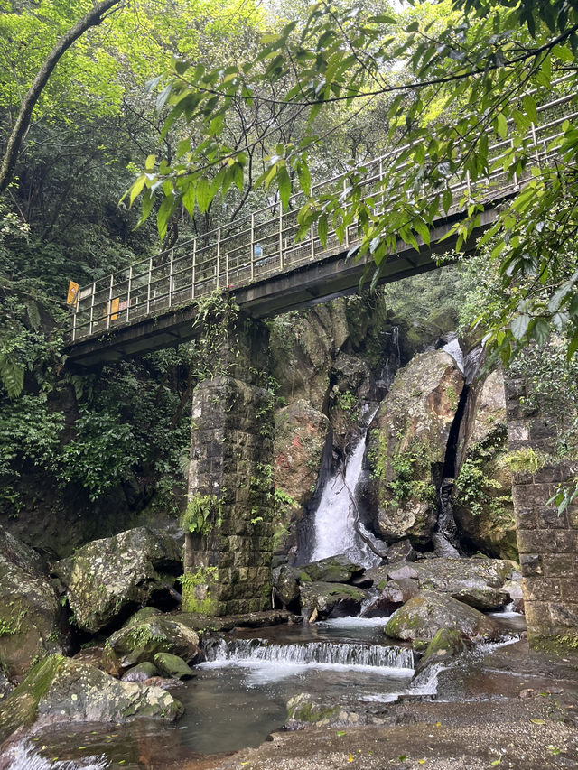 【陽明山国家公園｜大屯瀑布區】森の奥で、ただ水音に耳を澄ます