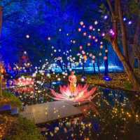 เที่ยวงานไฟสุดยิ่งใหญ่ ไม่คิดว่าจะสวยขนาดนี้ 🤍🌷✨