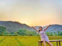 🌾 Lhongkhao Samoeng หลองข้าวสะเมิง 