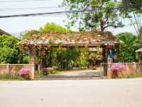 🌾 Lhongkhao Samoeng หลองข้าวสะเมิง 