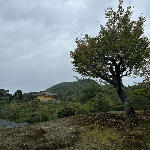 金閣寺的金色夢幻：探索京都的歷史瑰寶