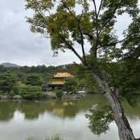 金閣寺的金色夢幻：探索京都的歷史瑰寶