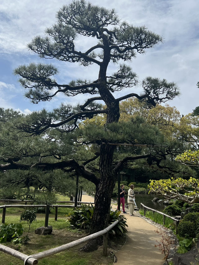 日本四國