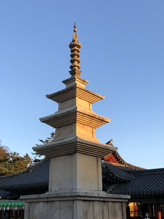 ⛩️고요함부터 힙함까지, 경주 하루 코스 추천