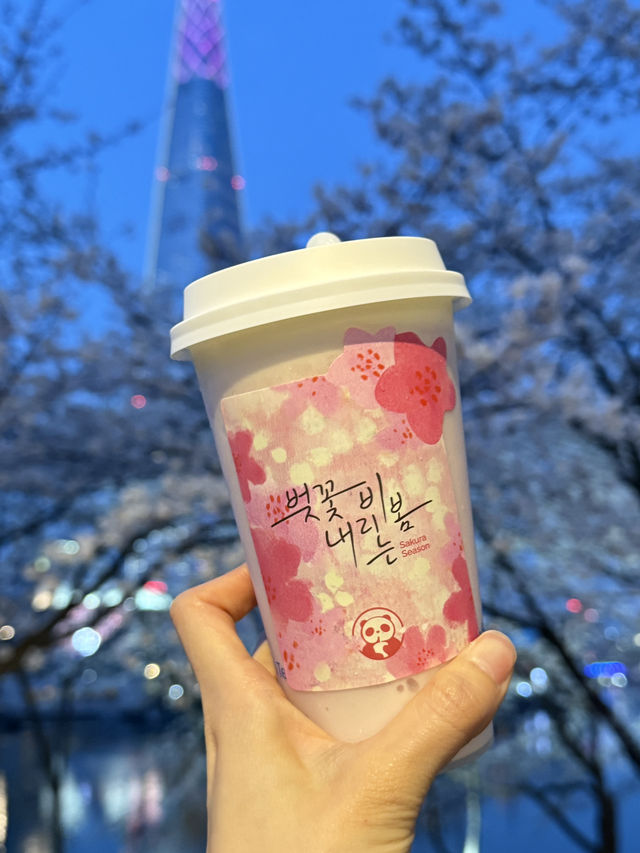 한국애도 상륙한 중국카페 차백도!