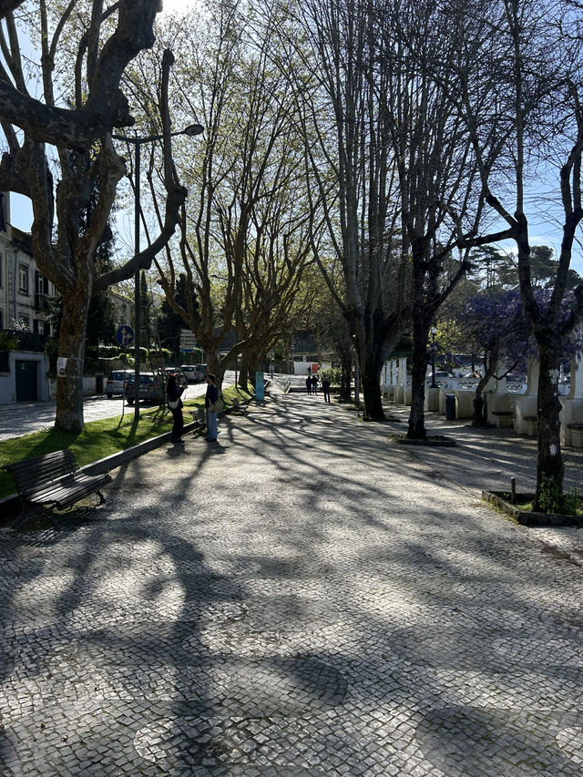 Stunning Sintra 