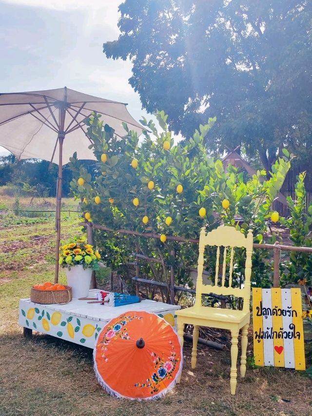 ☕️ร้านกาแฟดอกไม้เมืองหนาว🌸🌸 สไตล์ญี่ปุ่น🎎