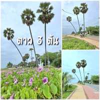 One day in ปราณบุรี ประจวบฯ