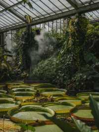🇬🇧 Kew Gardens | Like Stepping into Monet’s Water Lily Garden
