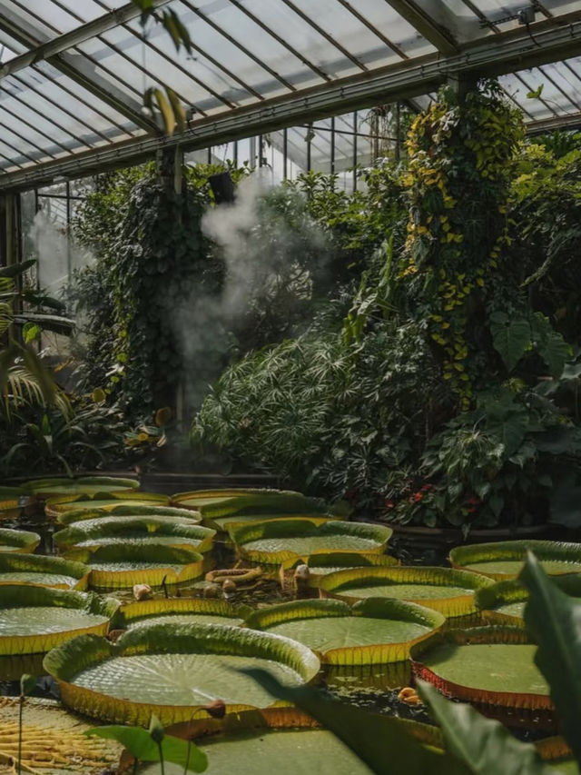 🇬🇧 Kew Gardens | Like Stepping into Monet’s Water Lily Garden