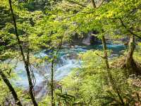 Fukiware Falls: Japan’s Hidden Niagara Awaits