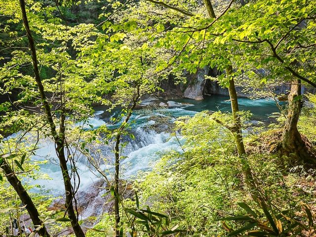 Fukiware Falls: Japan’s Hidden Niagara Awaits