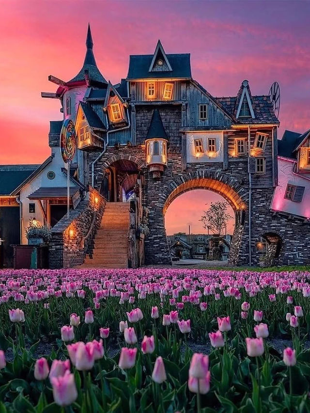 Tulip Farming