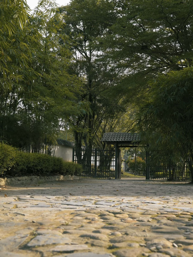 Taman Jepun (Japanese Garden) in Ipoh: A Serene Retreat