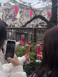 【東京】花見スポット3選🌸