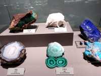 #國立自然科學博物館-臺中市北區