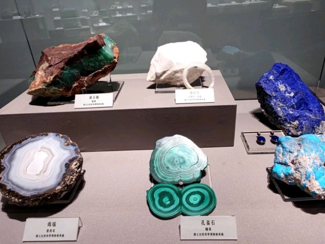 #國立自然科學博物館-臺中市北區
