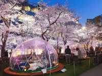 🌟 City Lights & Sakura Dreams: Spring Chillin’ at Midtown Garden! 🌸✨