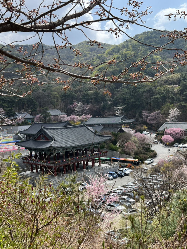 튤립축제와 천안 아산 여행