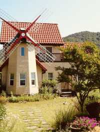 Wonye Arts Village: A Tapestry of Horticultural Artistry 