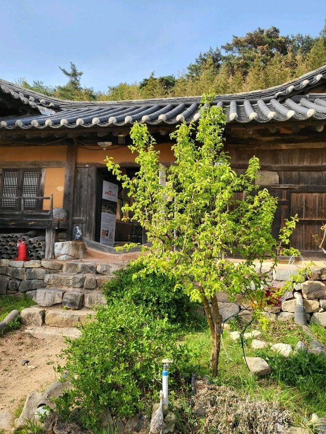 귀여운 화과자 만들기 체험하는 영덕 여행코스