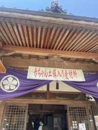 【日本🇯🇵】玉名　赤ちゃん土俵入り