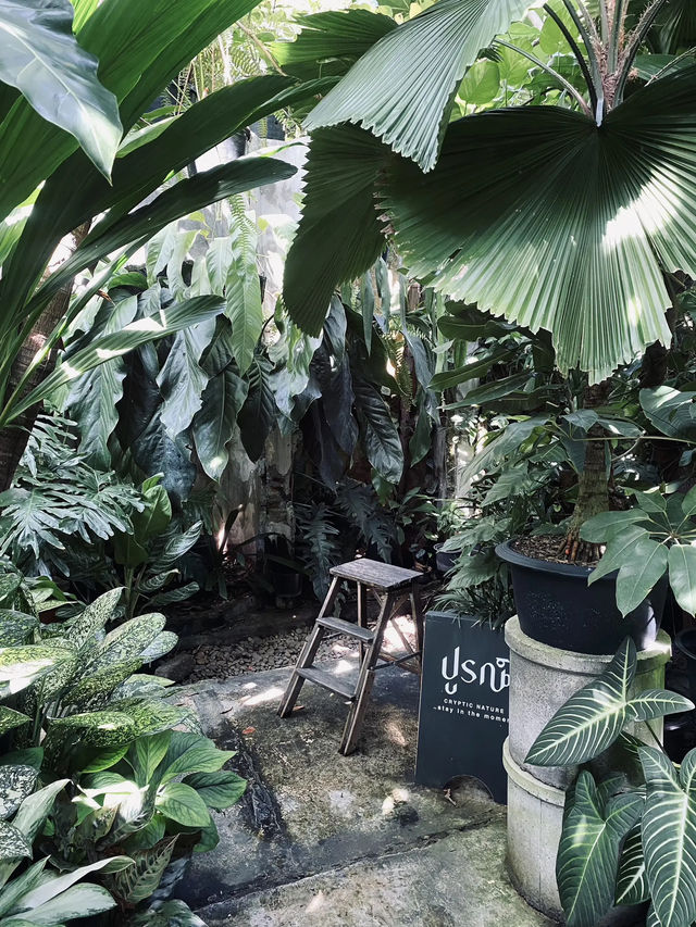 🌳 ปูรณ์-POON คาเฟ่บางแสน ถ่ายรูปสวยทุกมุม!☕️