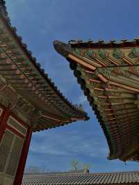 🇰🇷언제나 아름다운 우리나라 경복궁🇰🇷 