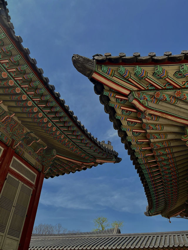 🇰🇷언제나 아름다운 우리나라 경복궁🇰🇷 