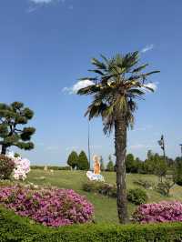 🏝️아름다운 야자수와 꽃들, 휴양지감성의 강원도 삼척 명소 여행가이드추천 💐
