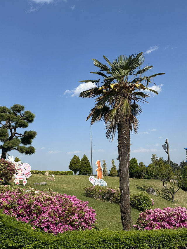 🏝️아름다운 야자수와 꽃들, 휴양지감성의 강원도 삼척 명소 여행가이드추천 💐