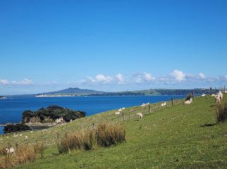Waiheke 島小旅行：離奧克蘭最近的天堂