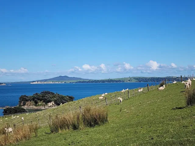 Waiheke Island Getaway: Paradise Close to Auckland