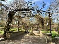Weekend Fun at Calderstones Park
