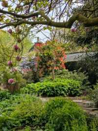 Calderstones Park