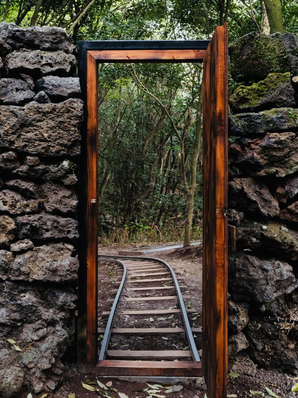 Jeju's Magical Photo Forest: Sanyang Keunkot Review