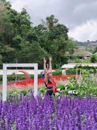 สวนอีเดน รีสอร์ท @ม่อนแจ่ม เชียงใหม่
