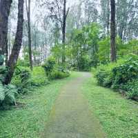 Rustic Retreat: A Day at Coney Island 🇸🇬