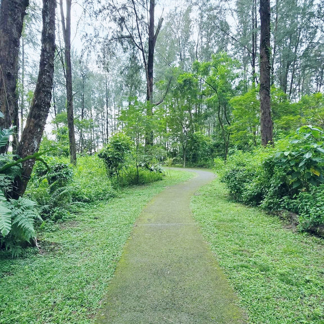 Rustic Retreat: A Day at Coney Island 🇸🇬