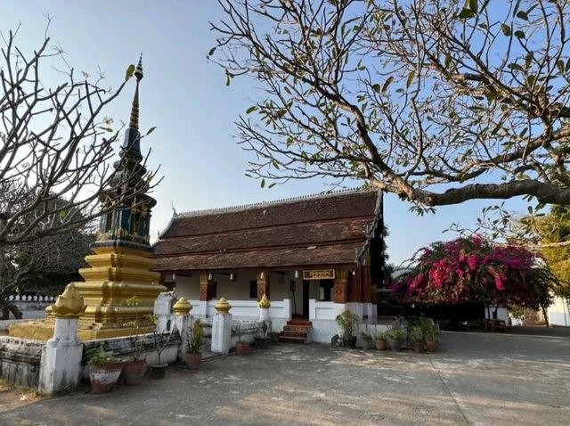 Peaceful Mornings at Wat Sop Sickharam: A Hidden Gem in Luang Prabang
